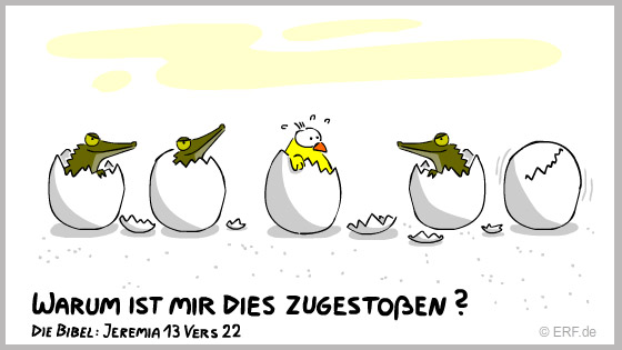 Unter Krokodilen